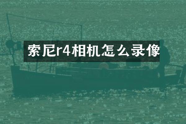 r4相机怎么录像