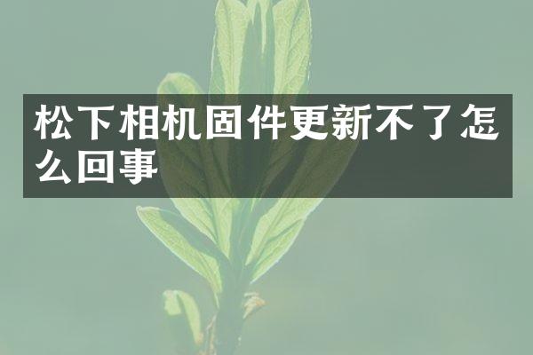 相机固件更新不了怎么回事