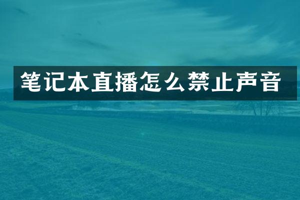 笔记本直播怎么禁止声音