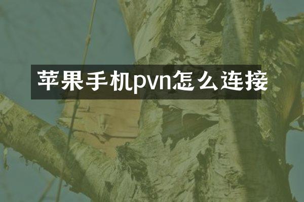 苹果手机pvn怎么连接
