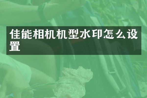 佳能相机机型水印怎么设置