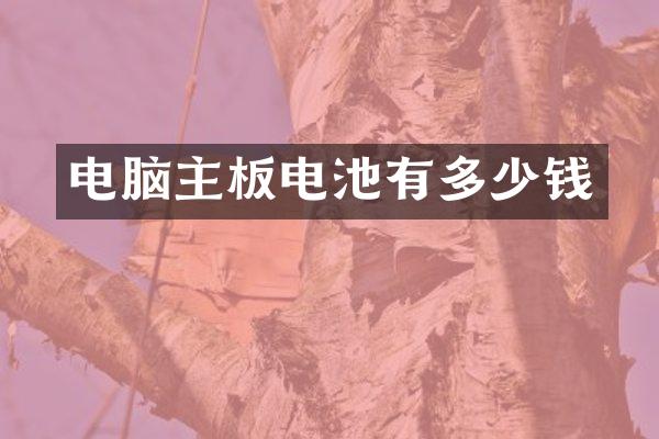 电脑主板电池有多少钱