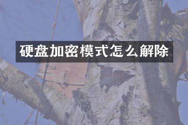硬盘加密模式怎么解除