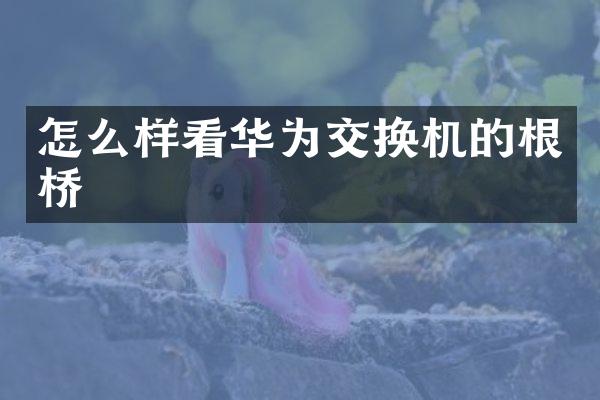 怎么样看华为交换机的根桥