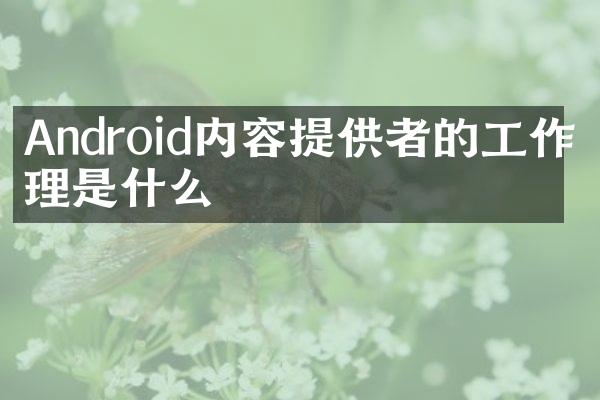 Android内容提供者的工作原理是什么
