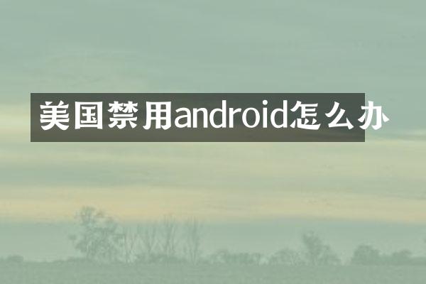 美国禁用android怎么办