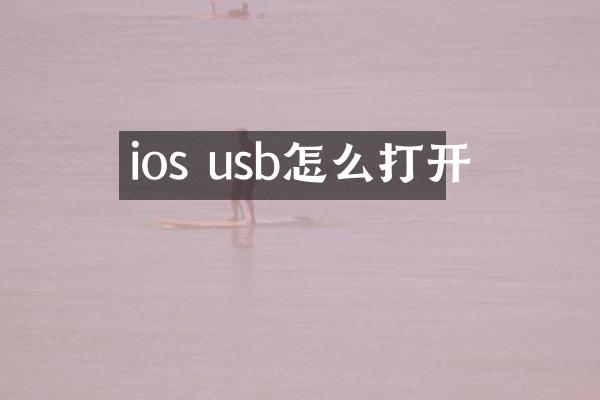 ios usb怎么打开