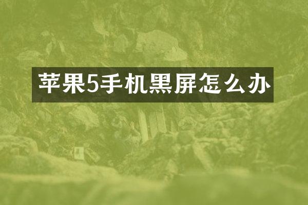 苹果5手机黑屏怎么办