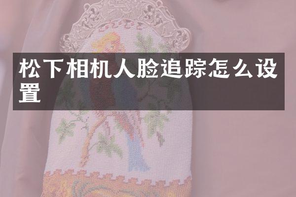 相机人脸怎么设置