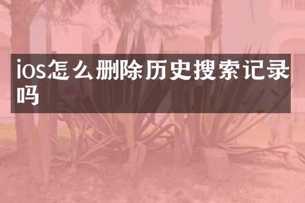 ios怎么删除历史搜索记录吗