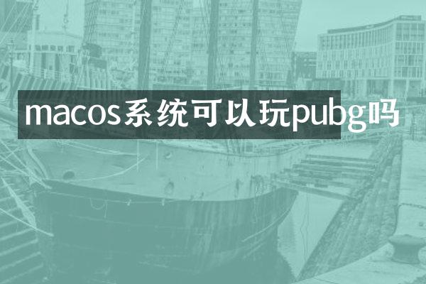 macos系统可以玩pubg吗