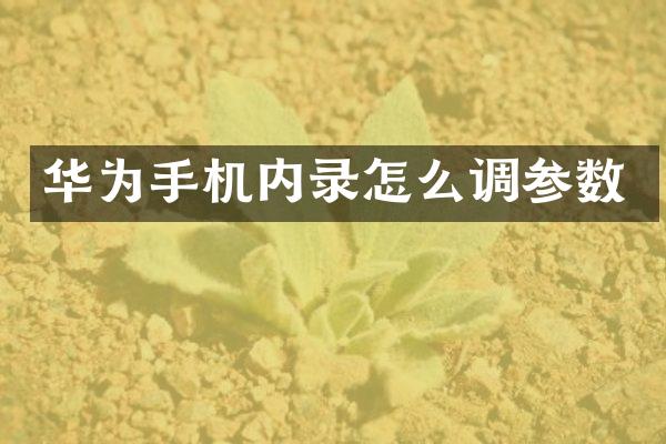 华为手机内录怎么调参数