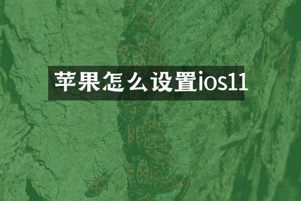 苹果怎么设置ios11