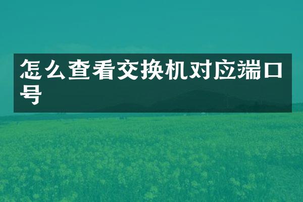 怎么查看交换机对应端口号
