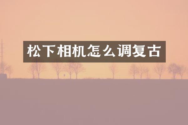 相机怎么调复古