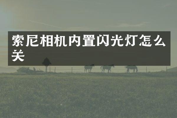 相机内置闪光灯怎么关