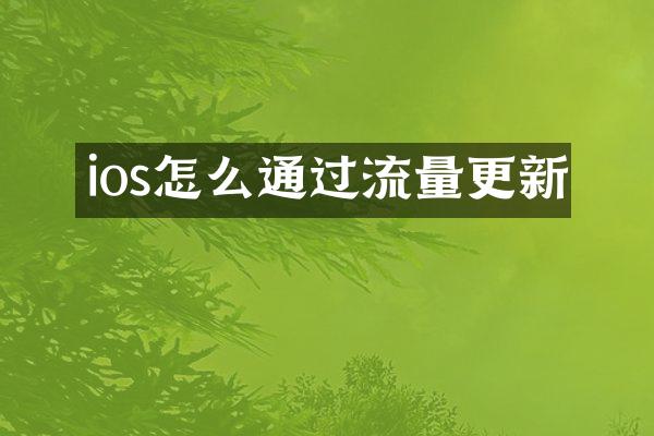 ios怎么通过流量更新