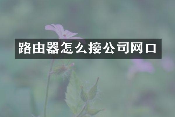 路由器怎么接公司网口