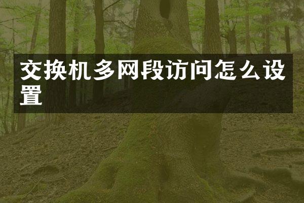 交换机多网段访问怎么设置
