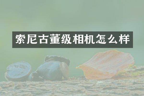 古董级相机怎么样