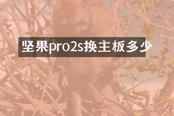 坚果pro2s换主板多少