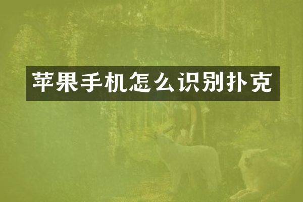 苹果手机怎么识别扑克