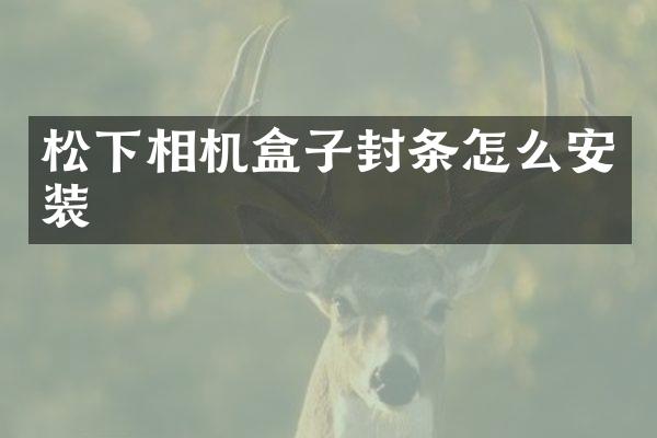 相机盒子封条怎么安装