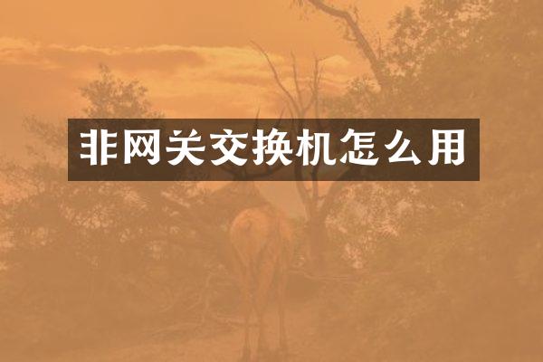 非网关交换机怎么用