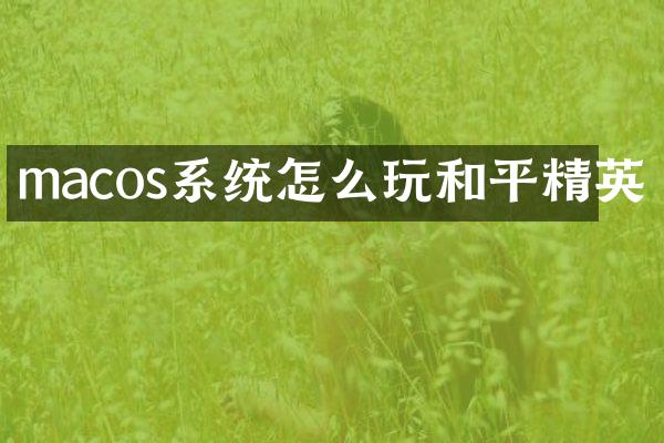macos系统怎么玩和平精英