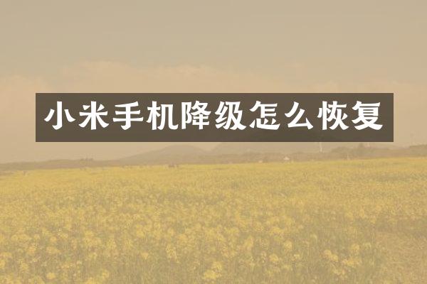 小米手机降级怎么恢复