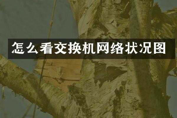 怎么看交换机网络状况图