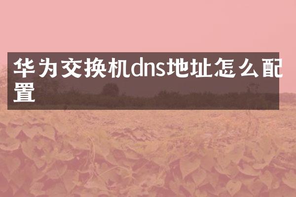 华为交换机dns地址怎么配置
