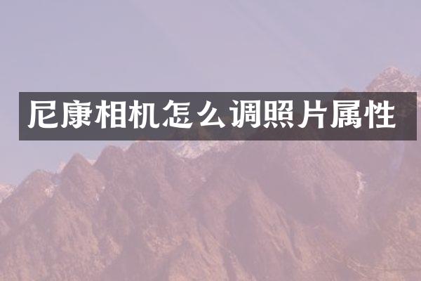 尼康相机怎么调照片属性