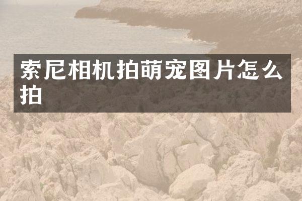 相机拍萌宠图片怎么拍