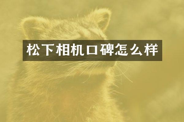 相机口碑怎么样