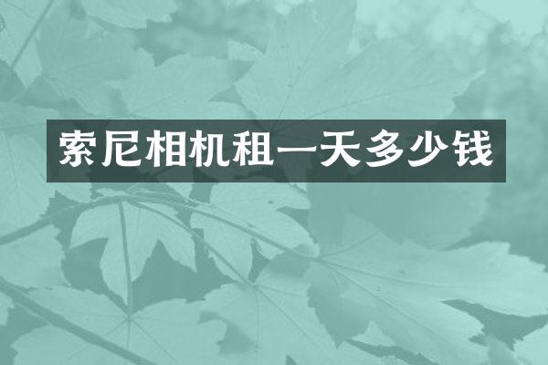 相机租一天多少钱