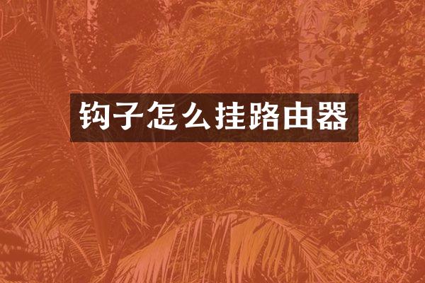 钩子怎么挂路由器