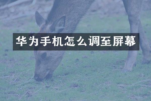 华为手机怎么调至屏幕