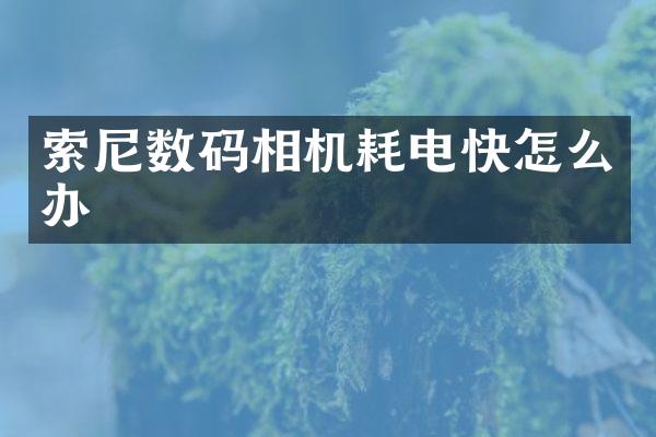 数码相机耗电快怎么办