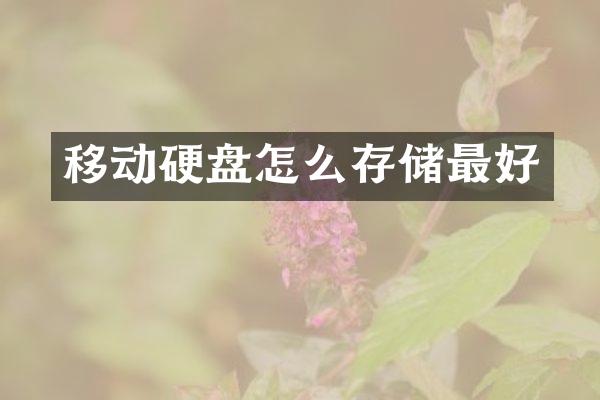 移动硬盘怎么存储最好