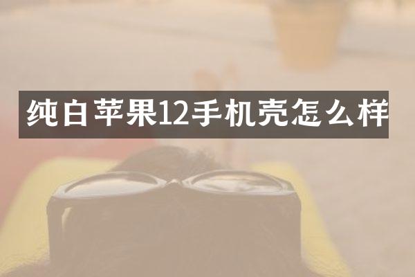 纯白苹果12手机壳怎么样