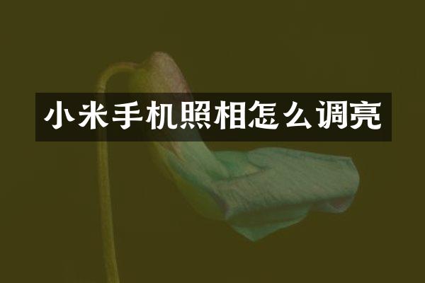 小米手机照相怎么调亮