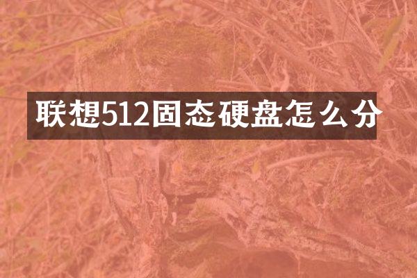 联想512固态硬盘怎么分