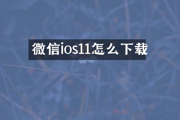 微信ios11怎么下载