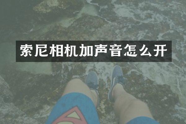相机加声音怎么开