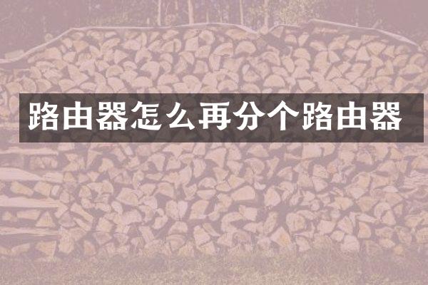 路由器怎么再分个路由器