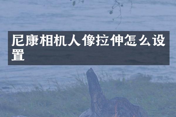 尼康相机人像拉伸怎么设置