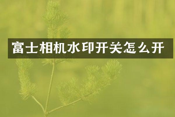 富士相机水印开关怎么开