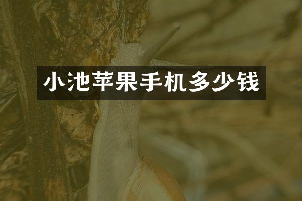 小池苹果手机多少钱