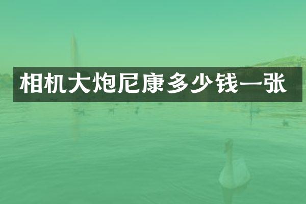 相机大炮尼康多少钱一张